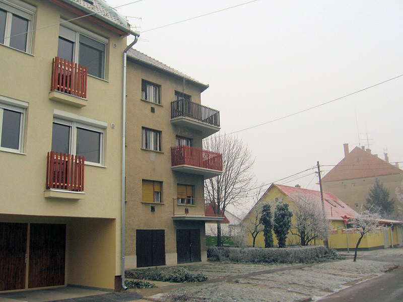 The house.