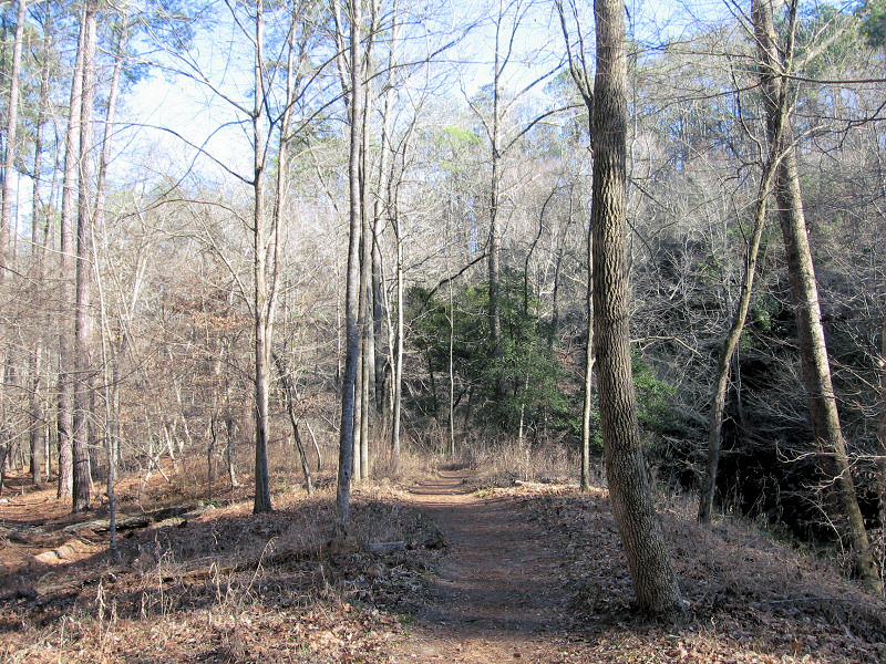 Path 1.