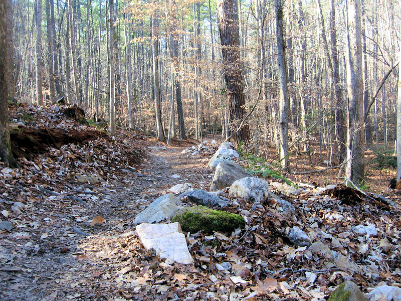 Path 2.