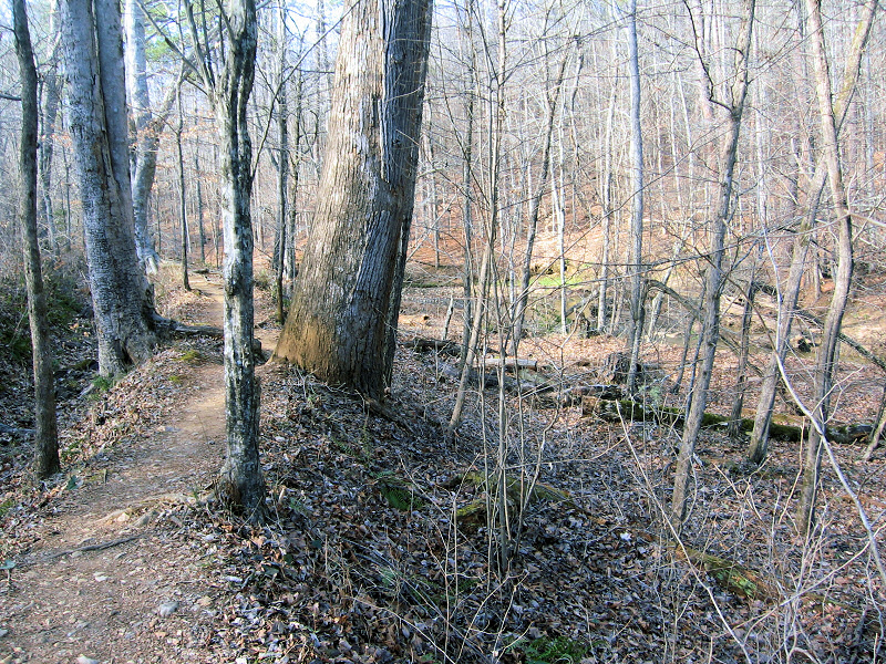 Path 3.