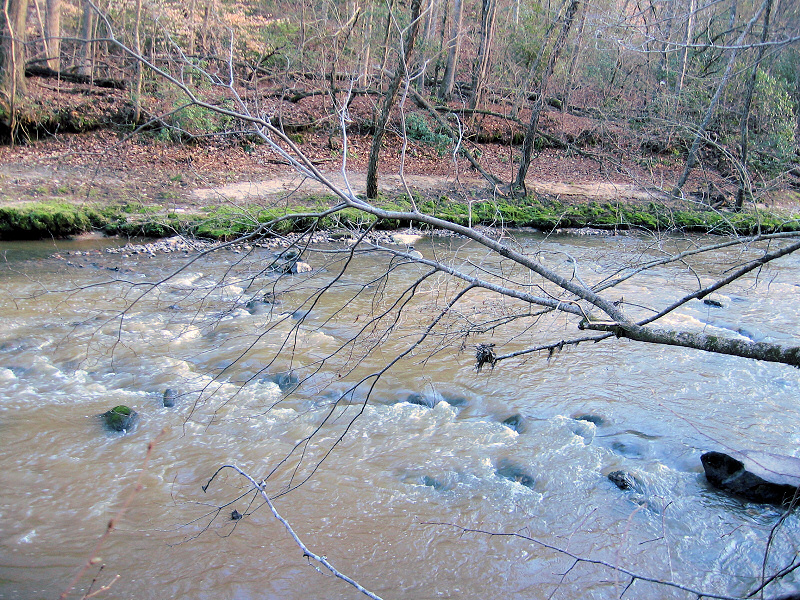 Creek.