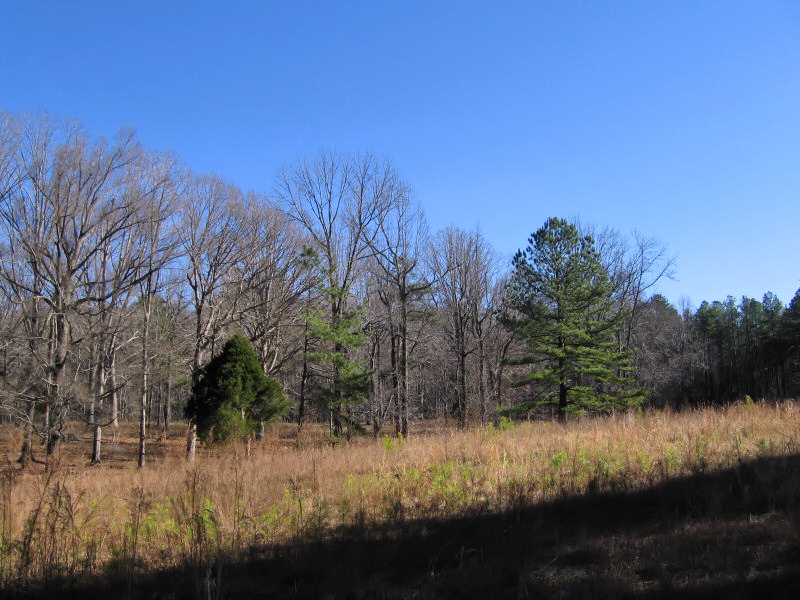 Field.
