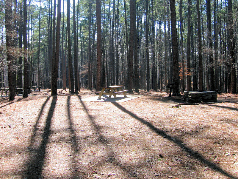 Picknick area.