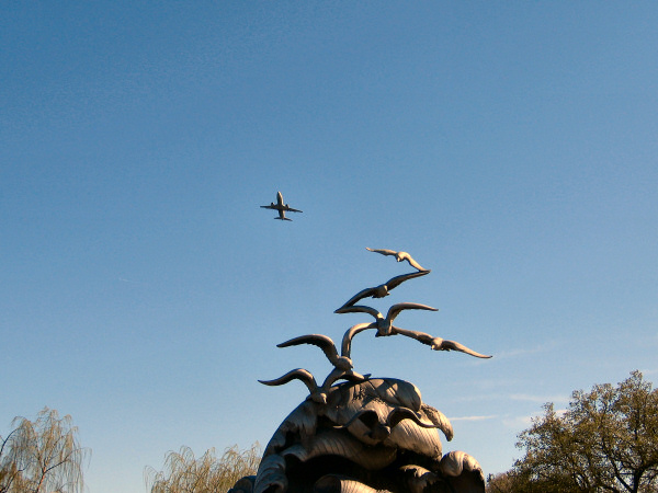 Birds.