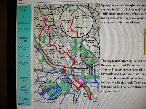 The map.