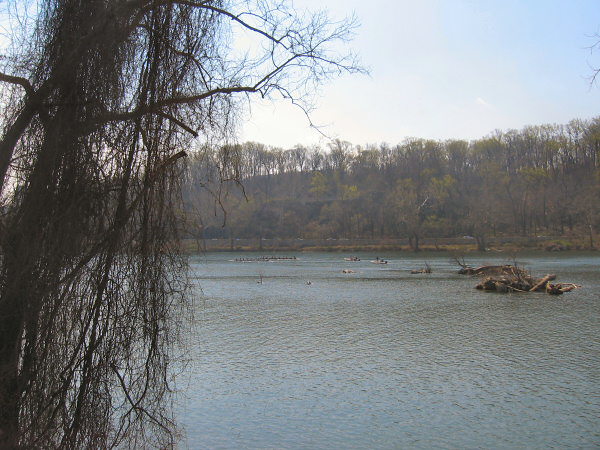 Canoes.