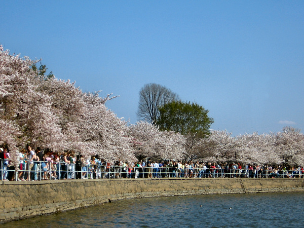 Crowds.