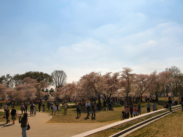 To the Tidal Basin.