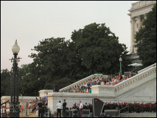 Audience watching a concert