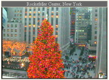 Rockefeller Plaza's Christmas Tree.