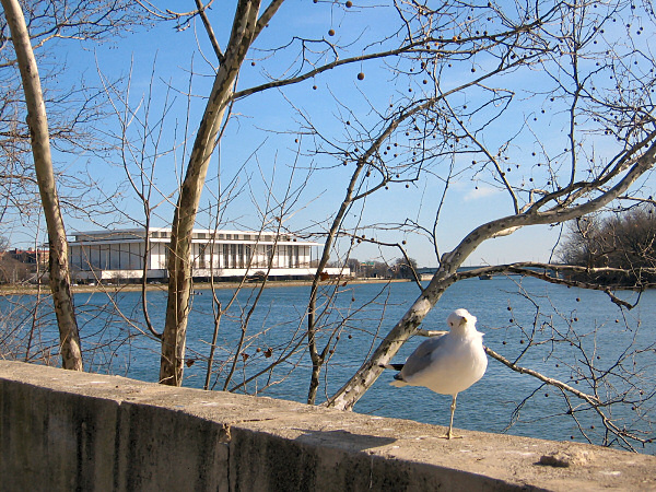 Gull & Kennedy Center.