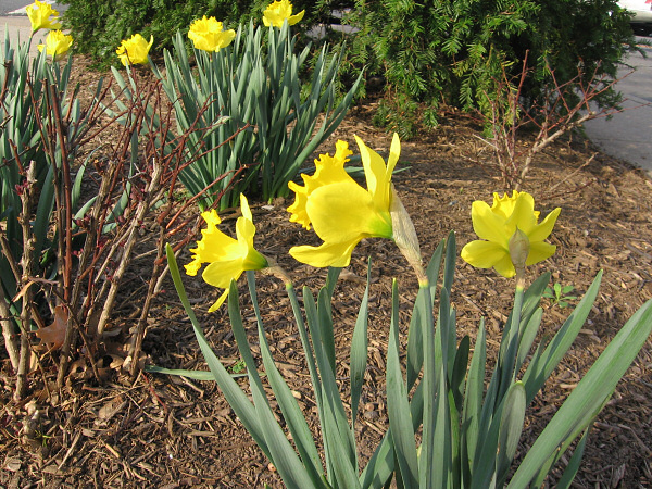 Spring weather.