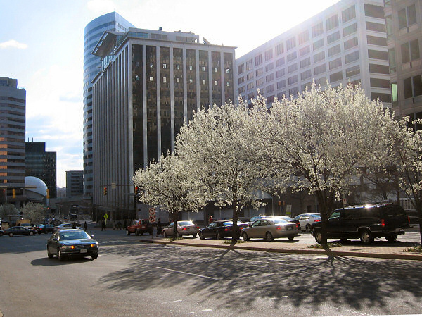 Spring weather.