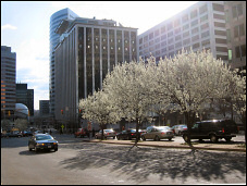 Spring weather.