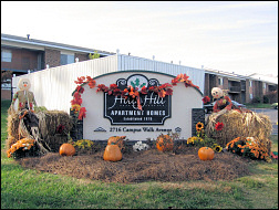Pumpkins (2).