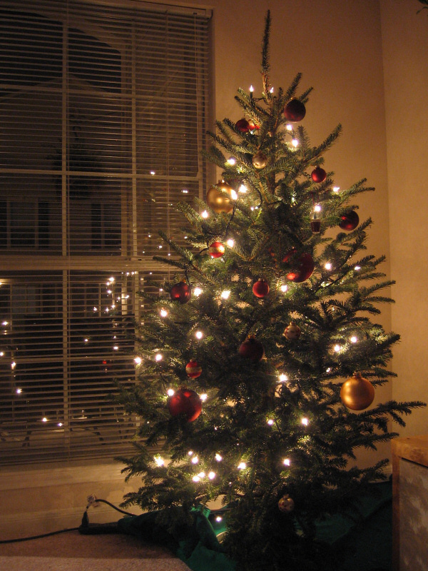 Christmas tree.