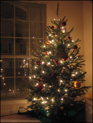 Christmas tree.