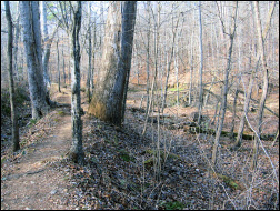 William B. Umstead Park.