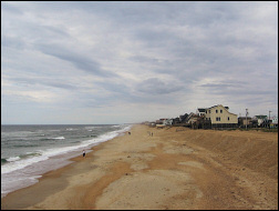 The beach.