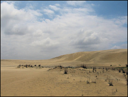 Jockey's Ridge State Park.