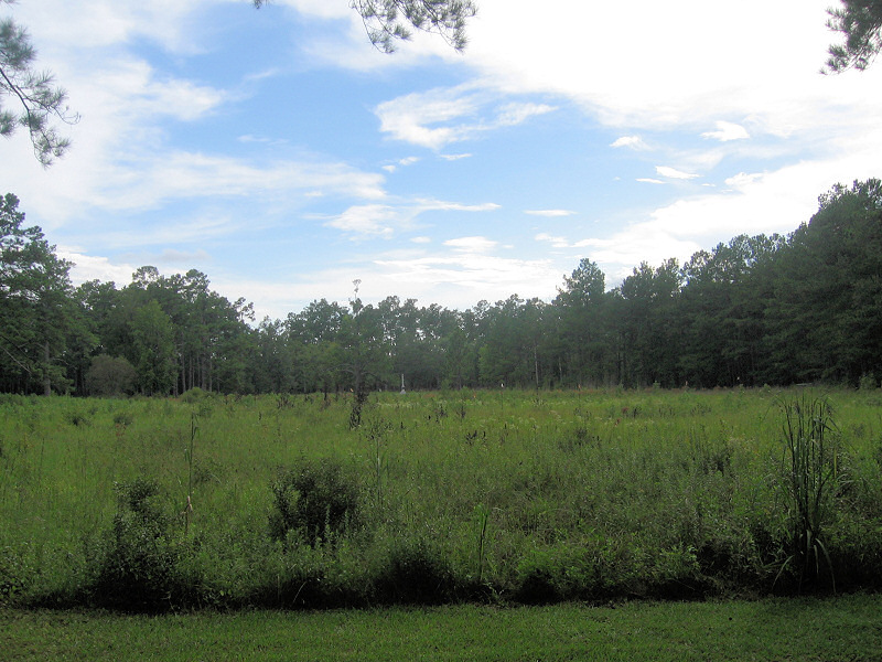 Moores Creek.