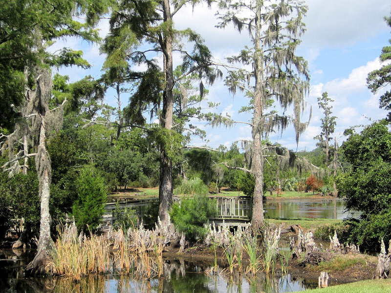 Plantation garden.