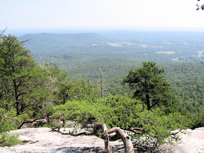 View.