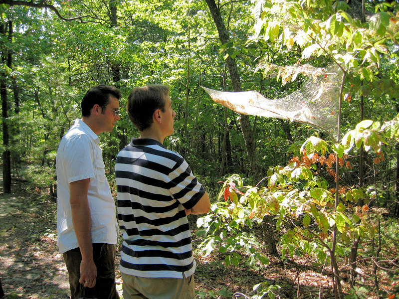Looking at nature.