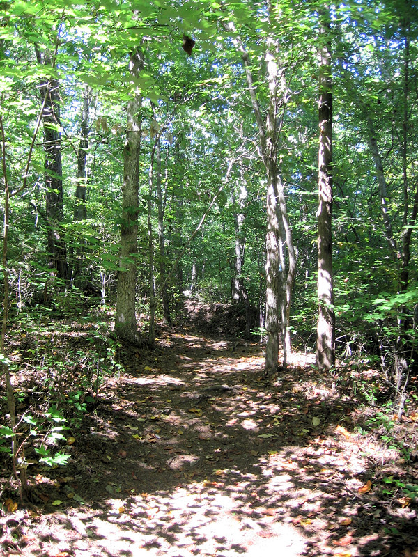 The trail.