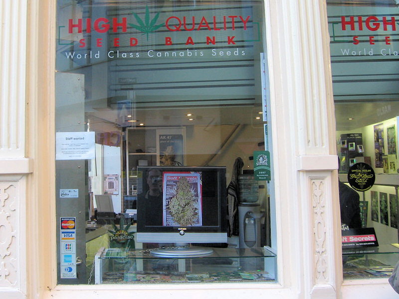 Cannabis store.