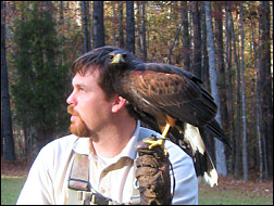 A bird trainer.