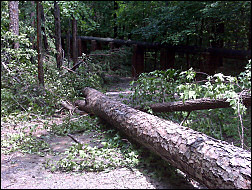 Storm damage.