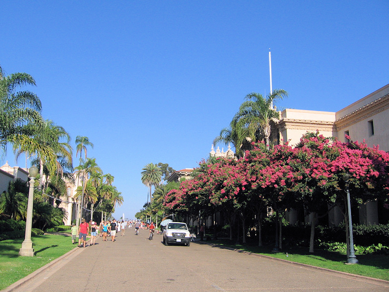 Balboa park.