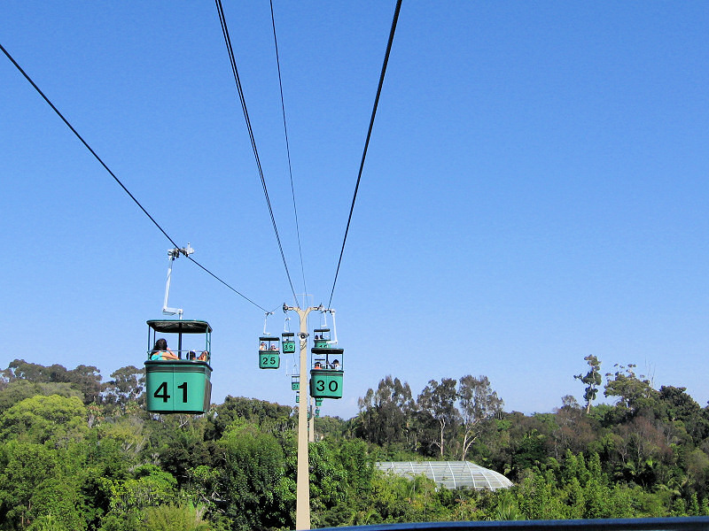 San Diego Zoo.