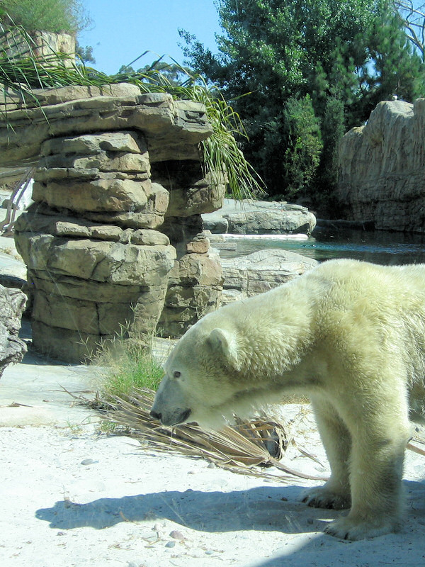 San Diego Zoo.