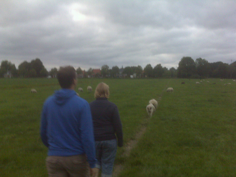 Ettie and Gerben chasing sheep.