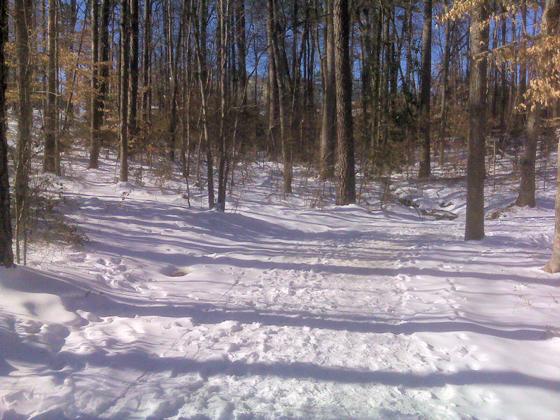 Al Buehler trail.