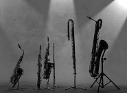 Music in Middenmeer