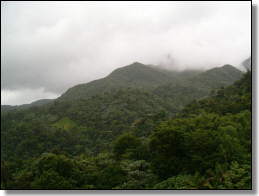 El Yunque.