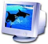 Monitor