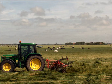 A Dutch polder.