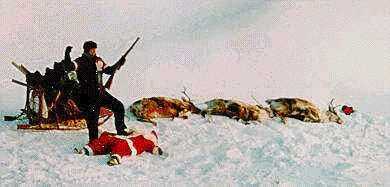 The picture from Chris Andersen.